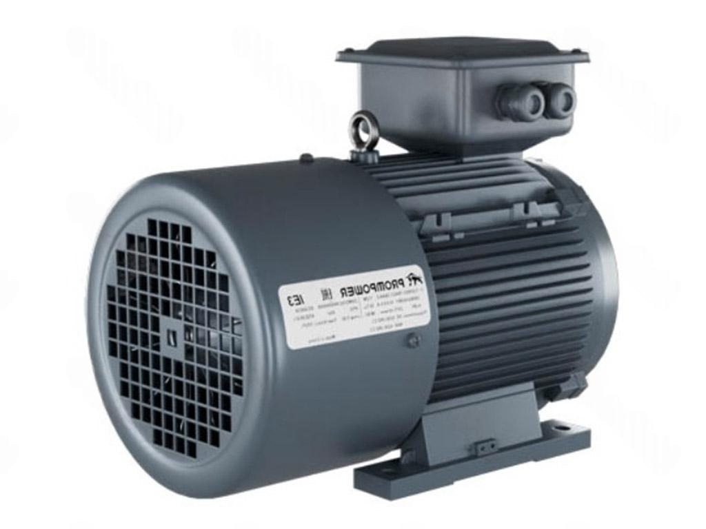 Электродвигатель 1LE9303-1AC42-1AA4 PROMPOWER